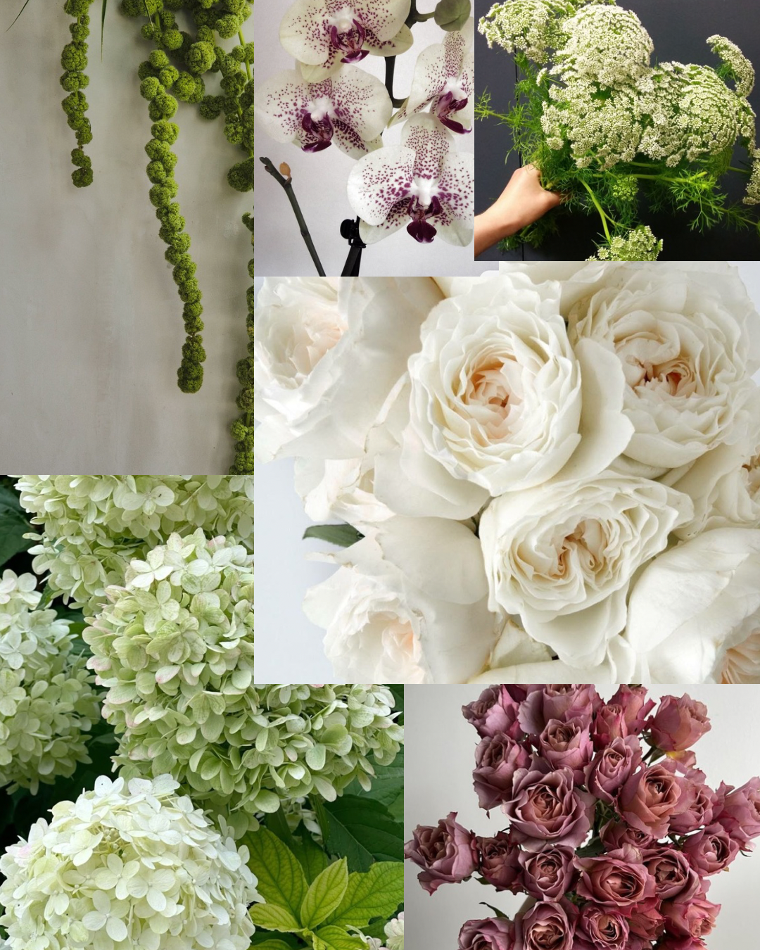 Dreaming up The Jade